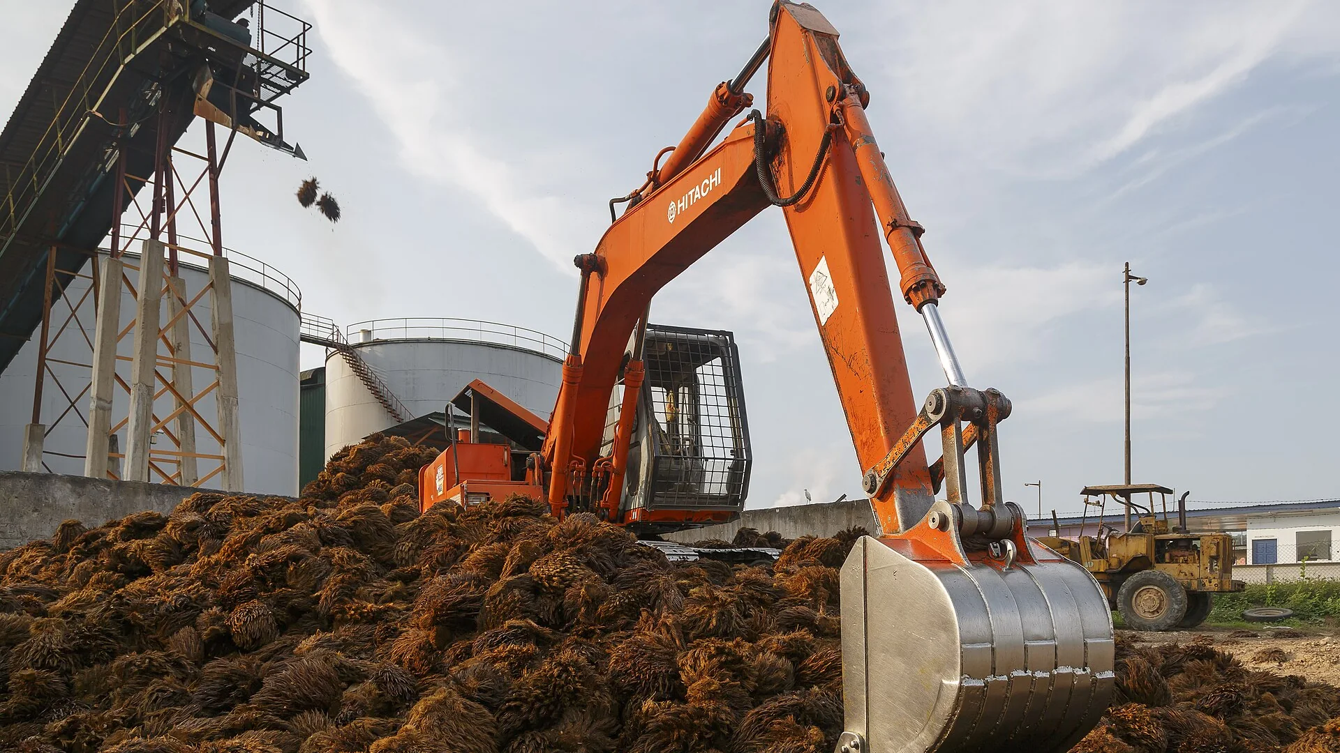 Palm oil